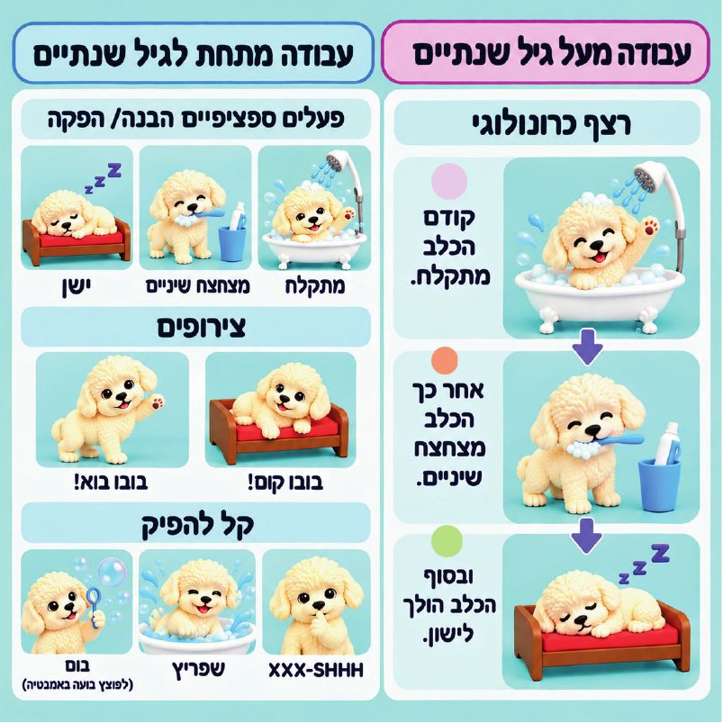 כרטיס עבודה – הכלב בובו