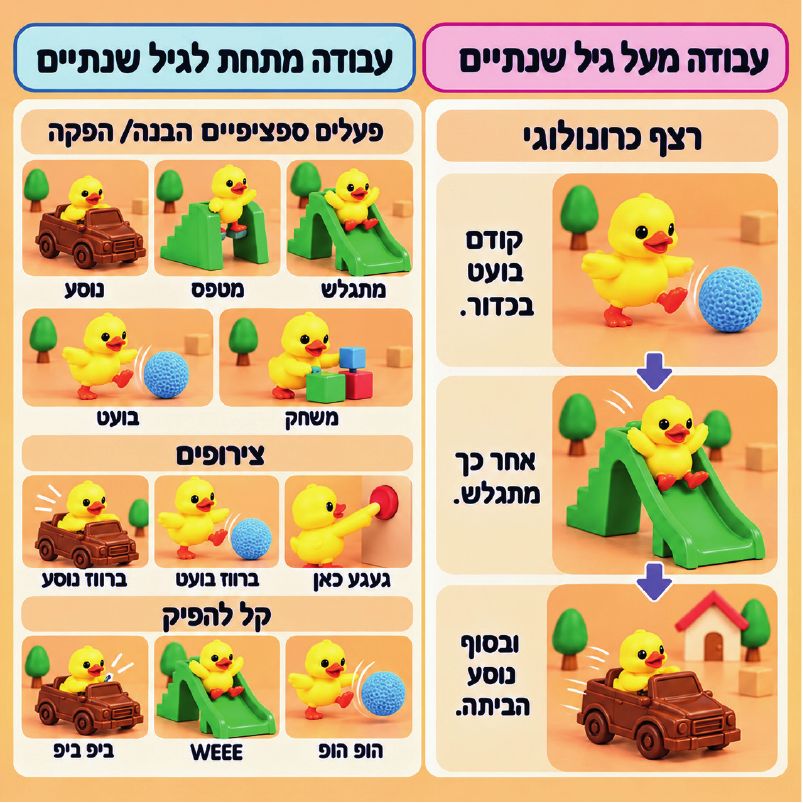כרטיס עבודה – הברווז